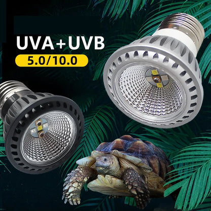 UVA + UVB LED Reptile Amphibians Heating Light Lamp Bulb