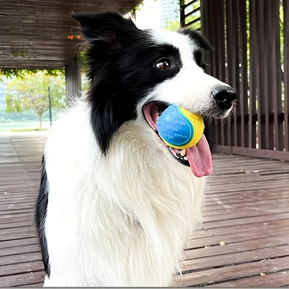 Interactive Pet Dog Durable Chew Ball Toy