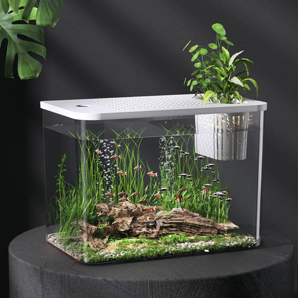 PET+ABS Desktop Mini Fish Tank Aquarium Terrarium