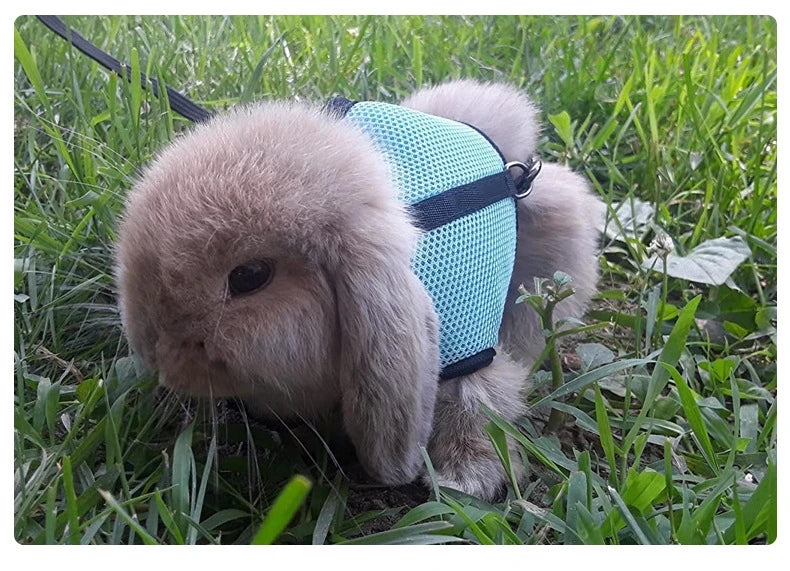 Pet Rabbit Small Animal Vest Harness and Leash Set