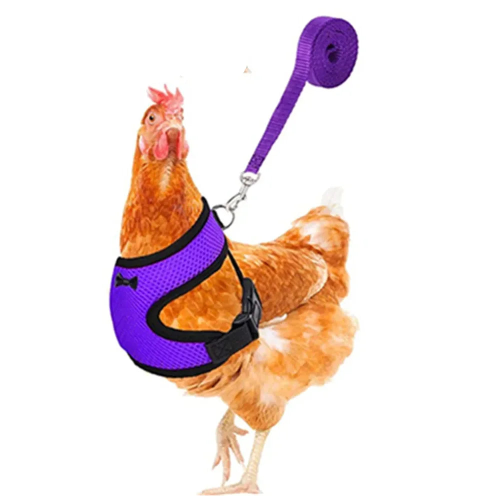 Pet Chicken Duck Vest Harness Leads Leash Set