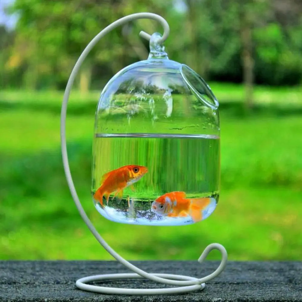 Hanging Glass Vase Aquarium Fish Tank With Rack Holder