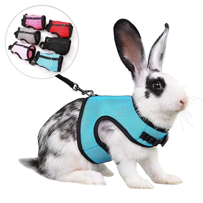 S-XL Small Animal Pet Breathable Vest Harness Elastic Leash Set