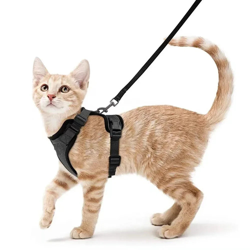 XS-S Pet Cat Harness and Leash Set