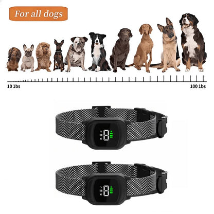 1000m Pet Dog Rechargeable Anti Bark Training Collar