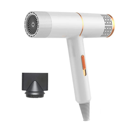 1000W Pet Dog Grooming Hair Dryer