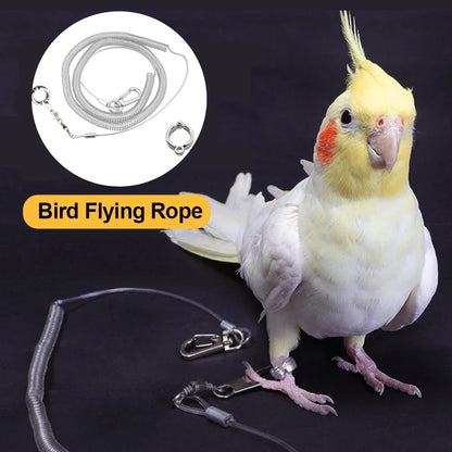 3M/5M Ultra-light Flexible Parrot Bird Flying Training Leash Rope with Leg Ring Harness