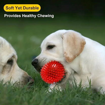 6pcs Ultimate Pet Dog Interactive Squeaky Balls Dental Hygiene Toy Set