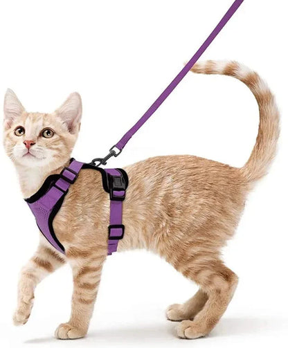 XS-S Pet Cat Harness and Leash Set