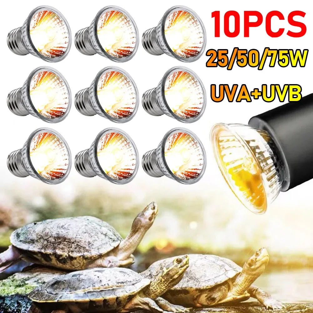 1-10PCS 25-75W UVA+UVB Reptile Heating Light Full Spectrum Lamp Bulb