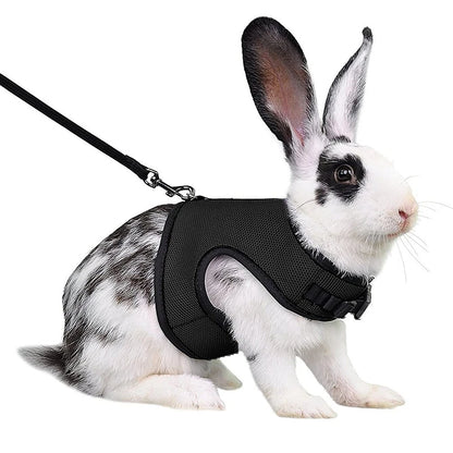 Pet Rabbit Small Animal Vest Harness and Leash Set