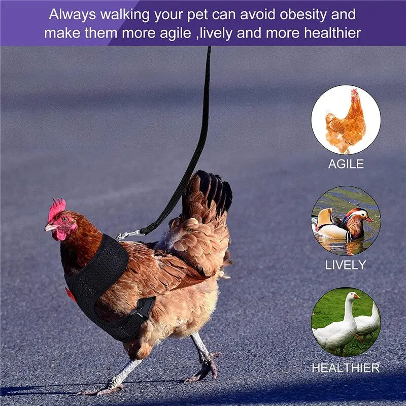 Pet Chicken Duck Goose Adjustable Harness Leash