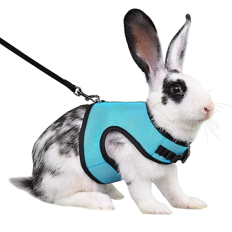 S-XL Small Animal Pet Breathable Vest Harness Elastic Leash Set