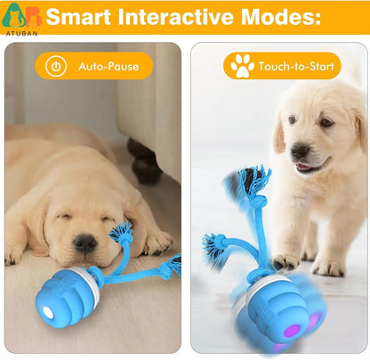 Rechargeable Smart Automatic Interactive Pet Dog Toys Ball