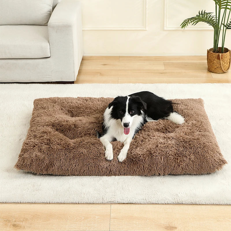 S-XL Pet Dog Cat Long Plush Beds Cushion Mat Sleeping Sofa