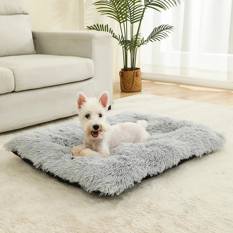 S-XL Pet Dog Cat Long Plush Beds Cushion Mat Sleeping Sofa