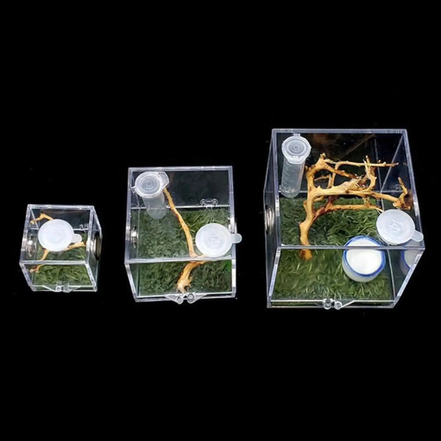 Small Reptiles Insect Breeding Feeding Box Clear Acrylic Cage