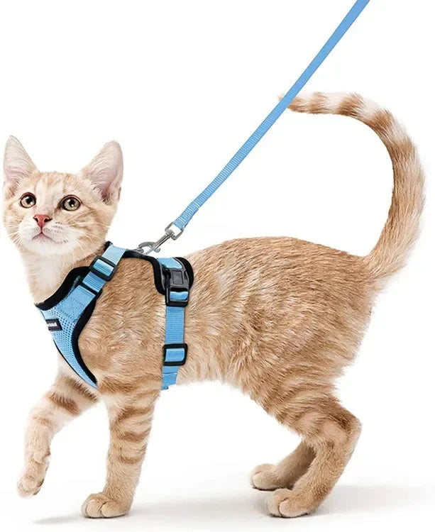 XS-S Pet Cat Harness and Leash Set