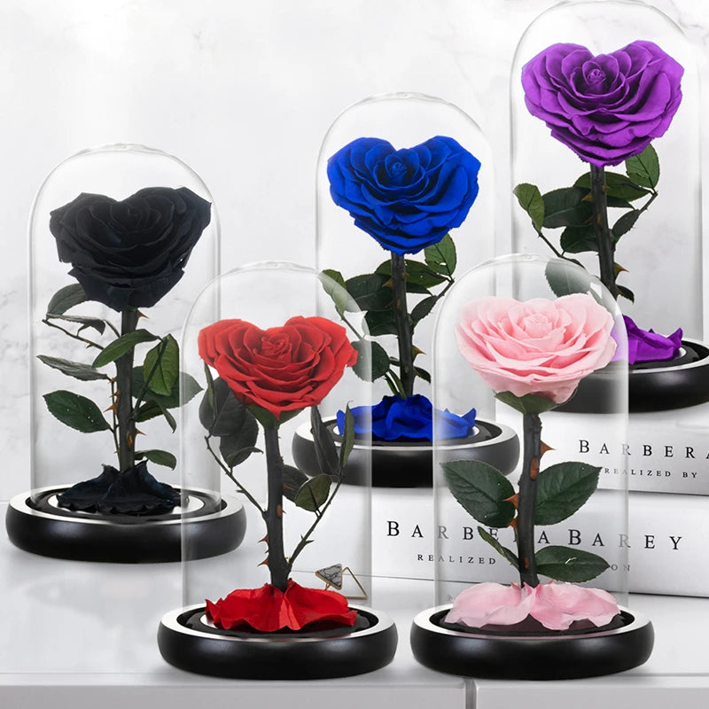 Heart Shaped Preserved Beauty and The Beast Eternal Rose In Glass Dome