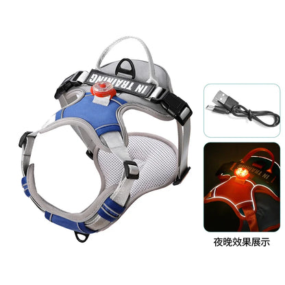 USB Rechargeable LED Dog Harness