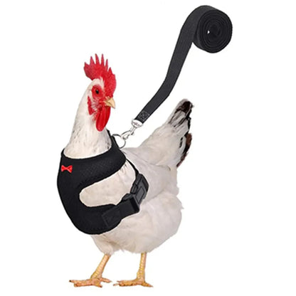 Pet Chicken Duck Vest Harness Leads Leash Set