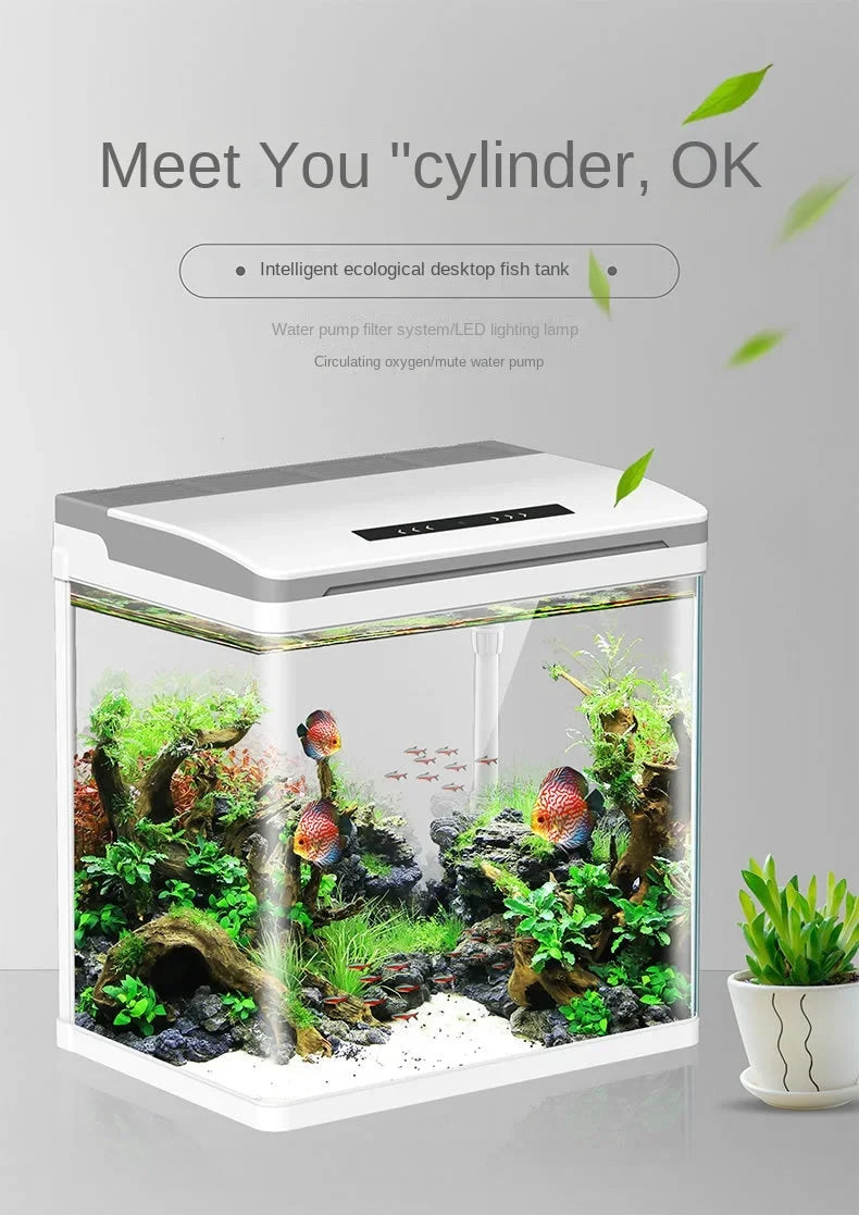 Plexiglass Desktop Smart Fish Tank Aquarium Filter Silent Feeding Box LED Light