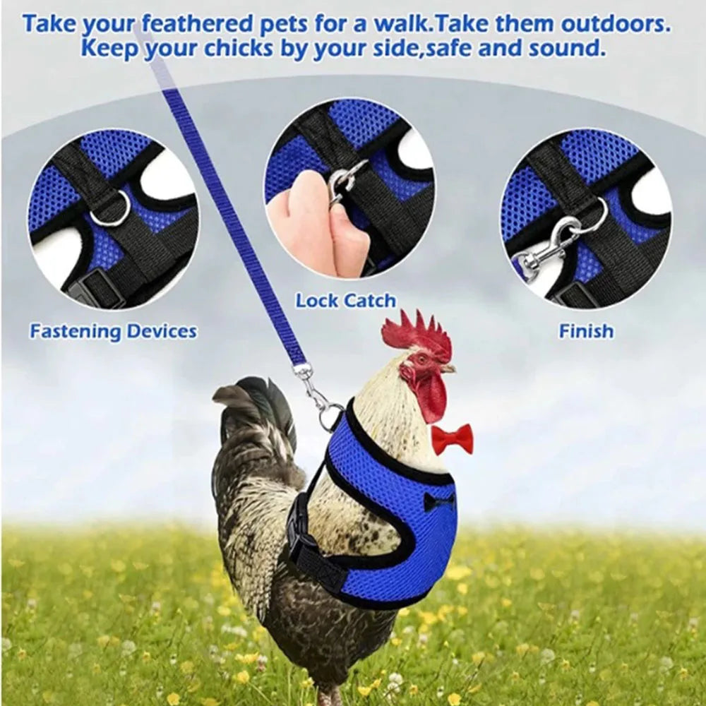 Adjustable Breathable Pet Duck Chicken Harness Vest Leash