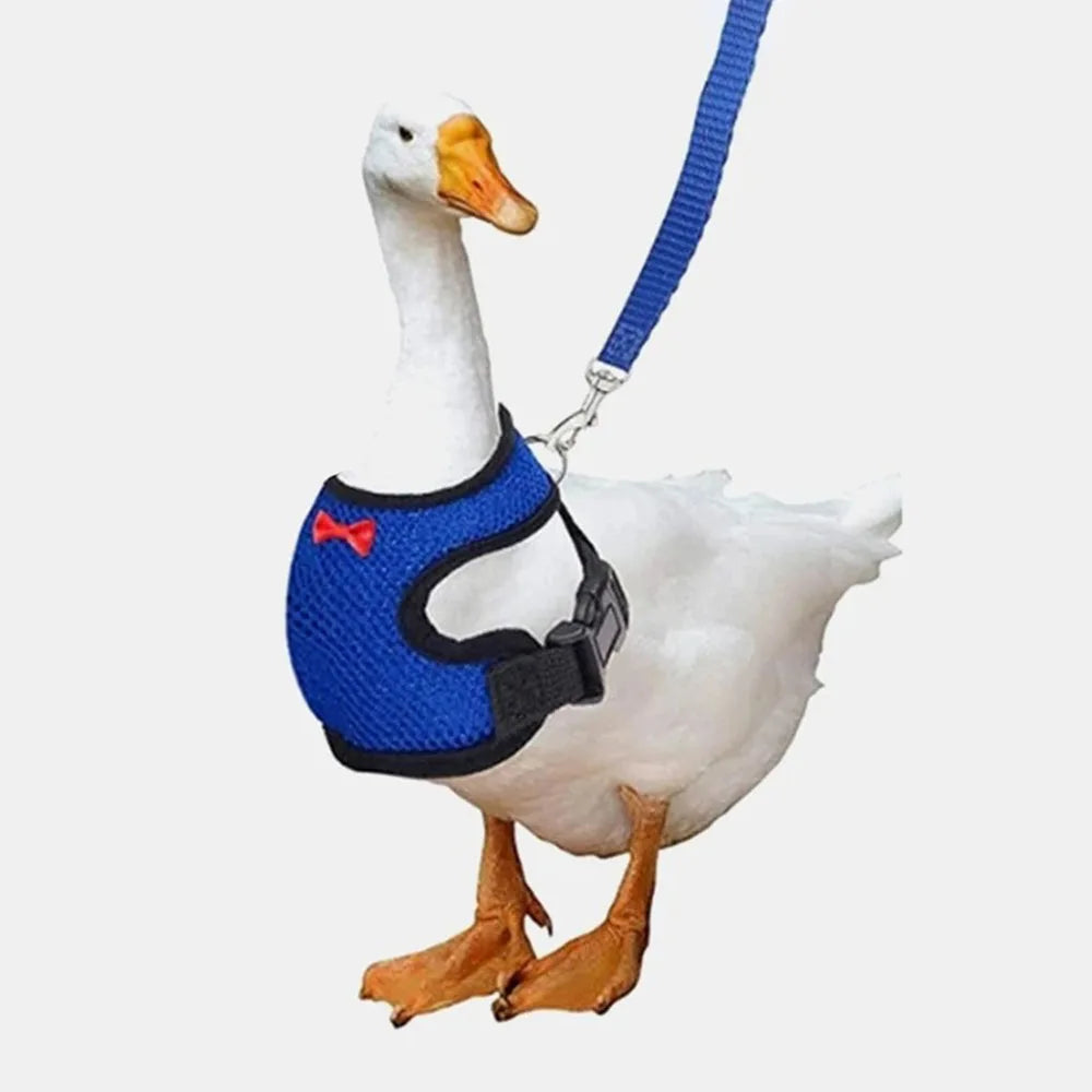 Adjustable Breathable Pet Duck Chicken Harness Vest Leash