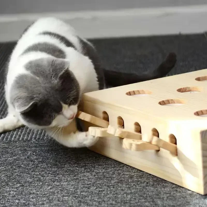 Pet Cat Maze Catch Bite Hunt Puzzle Toy