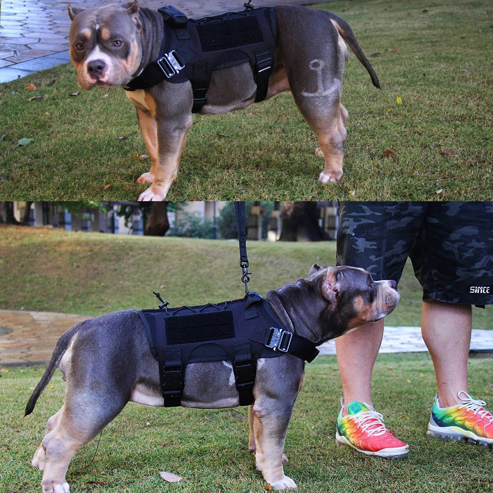 M-L Pet Dog Tactical Harness Training Vest With Bags Leash Lead Set