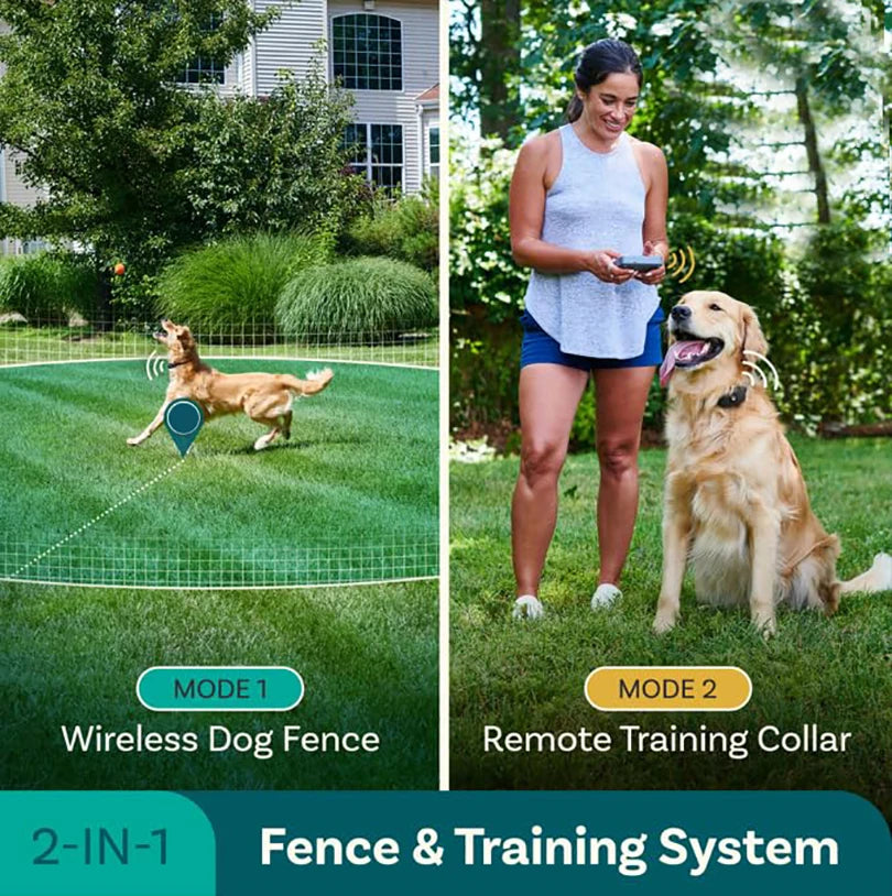 1000ft Pet Dog Wireless Electric Fence Training Collar System Remote Control