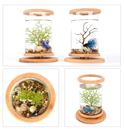 Cylindrical Rotating Desktop Mini Aquarium Fish Tank