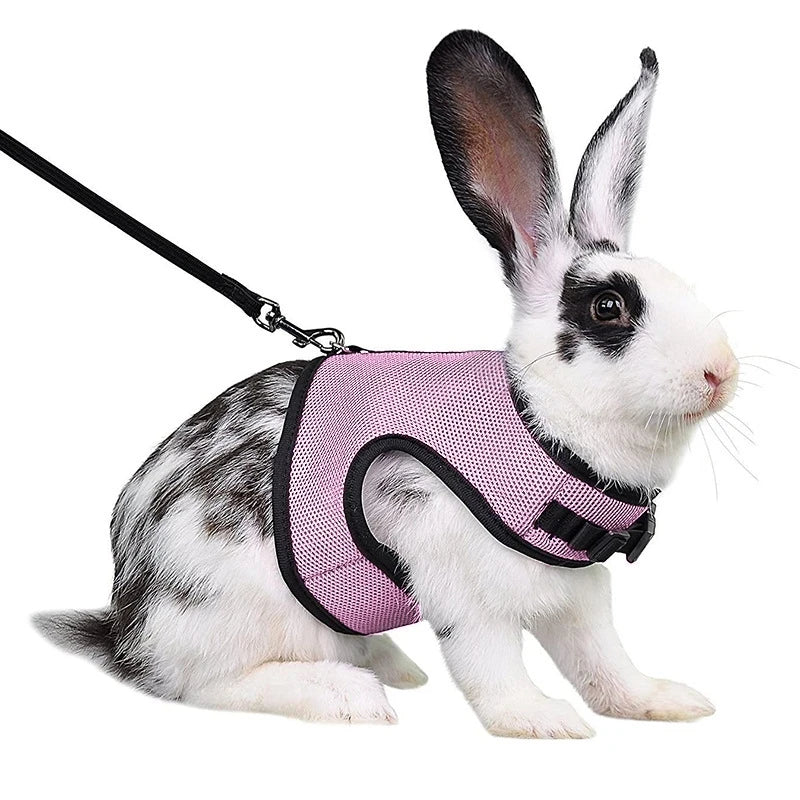 S-XL Small Animal Pet Breathable Vest Harness Elastic Leash Set