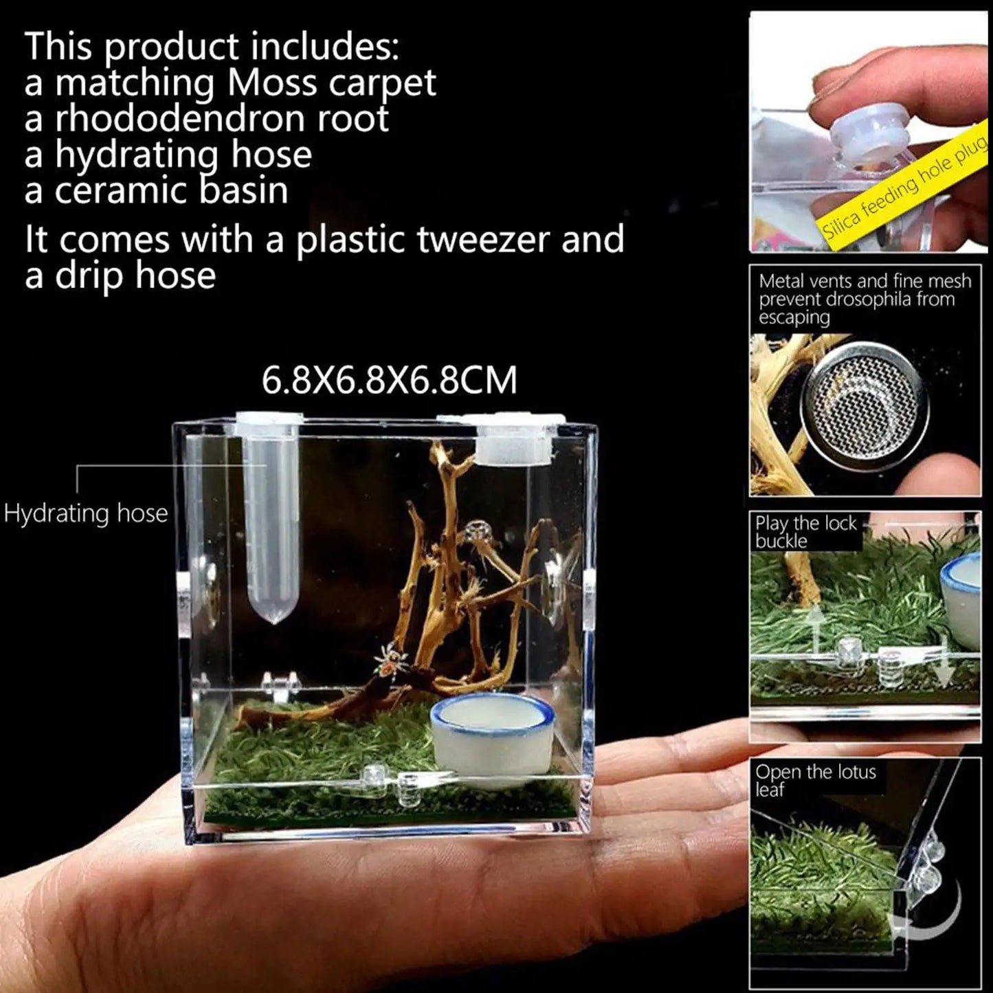 Small Reptiles Insect Breeding Feeding Box Clear Acrylic Cage