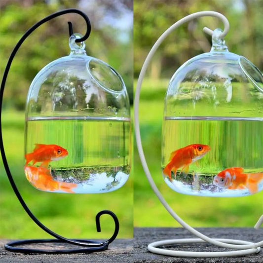 Hanging Glass Vase Aquarium Fish Tank With Rack Holder