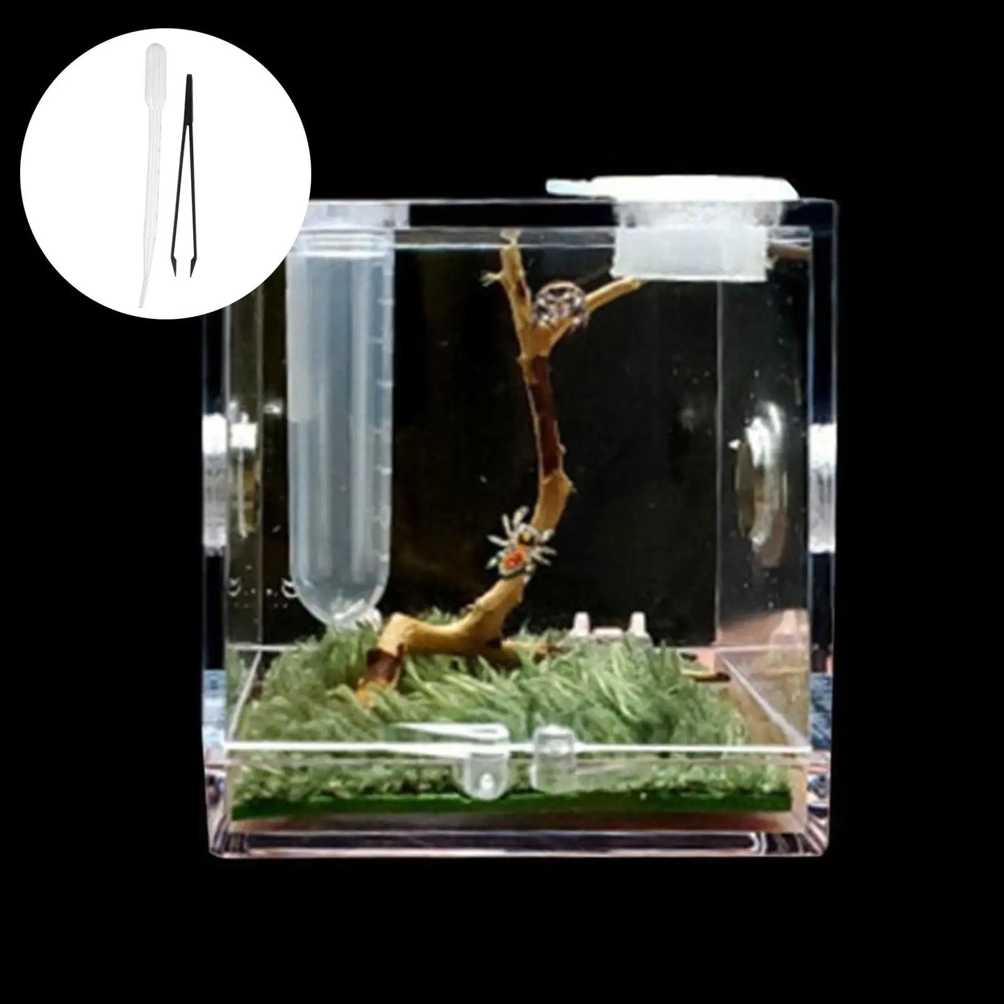 Small Reptiles Insect Breeding Feeding Box Clear Acrylic Cage