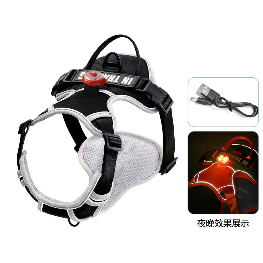 USB Rechargeable LED Dog Harness