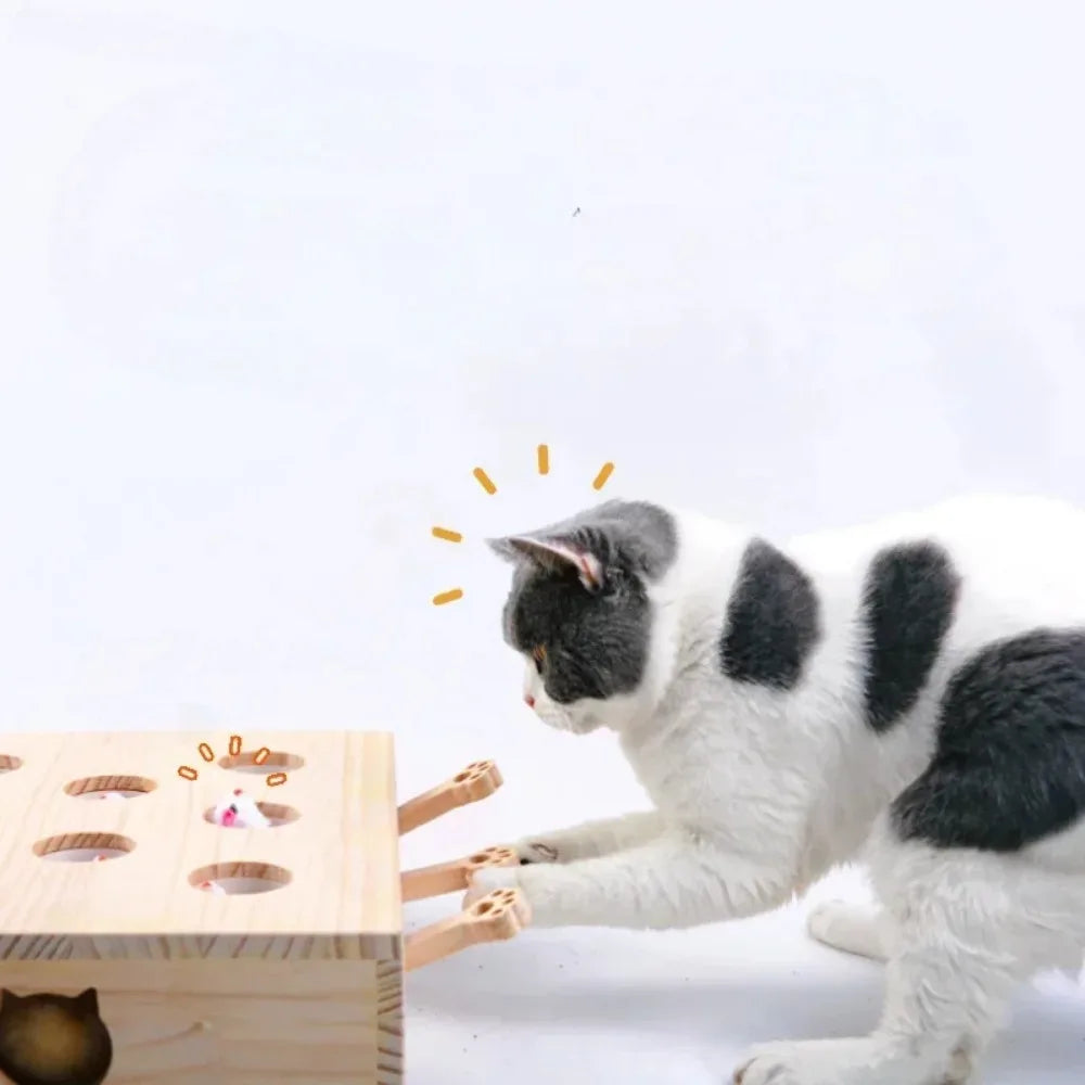 Pet Cat Maze Catch Bite Hunt Puzzle Toy