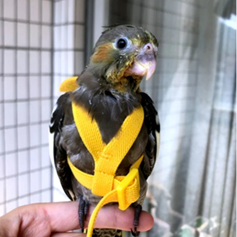 Pet Bird Adjustable Training Flying Rope Harness