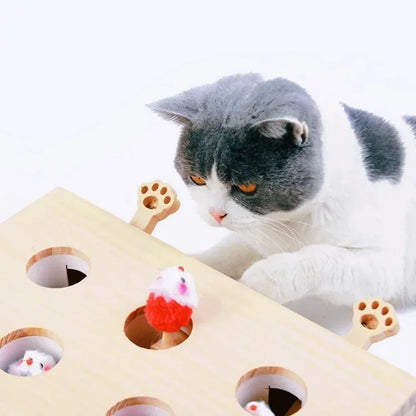 Pet Cat Maze Catch Bite Hunt Puzzle Toy