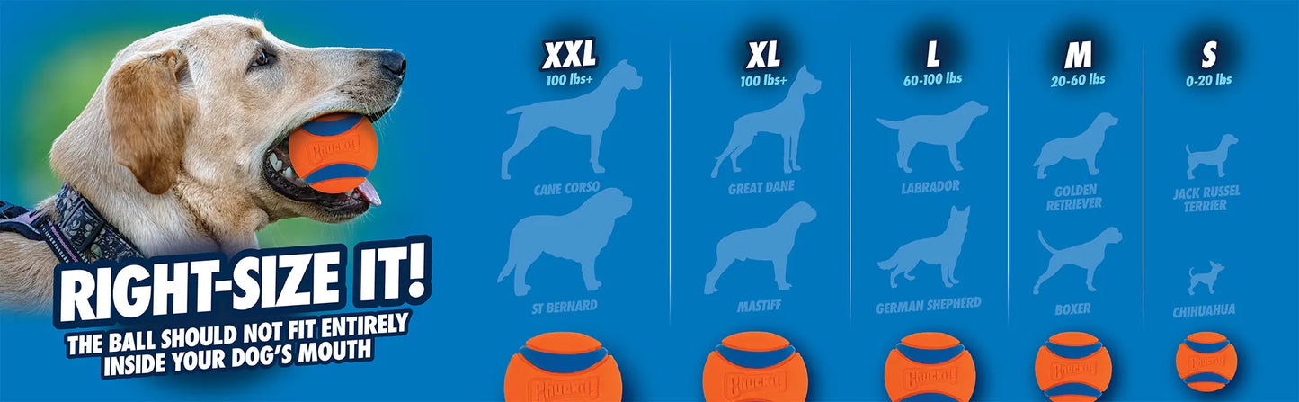 Chuckit! Ultra Ball Pet Dog Toy