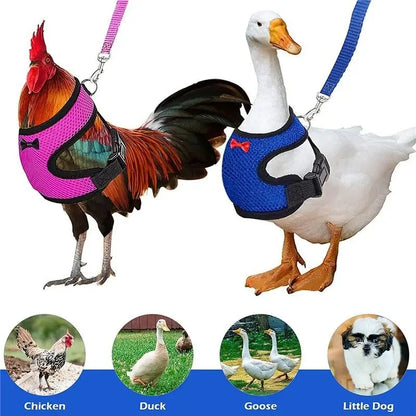 Pet Chicken Duck Goose Adjustable Harness Leash