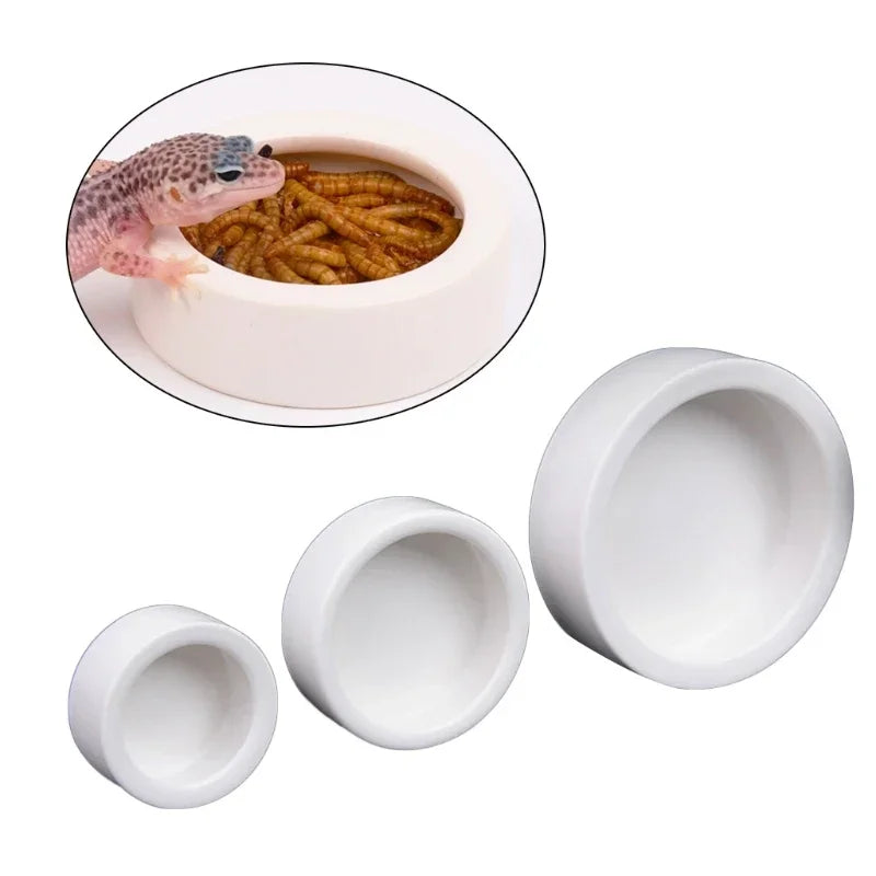 Reptile Food Ceramic Bowl Anti-Escape Feeder Dish