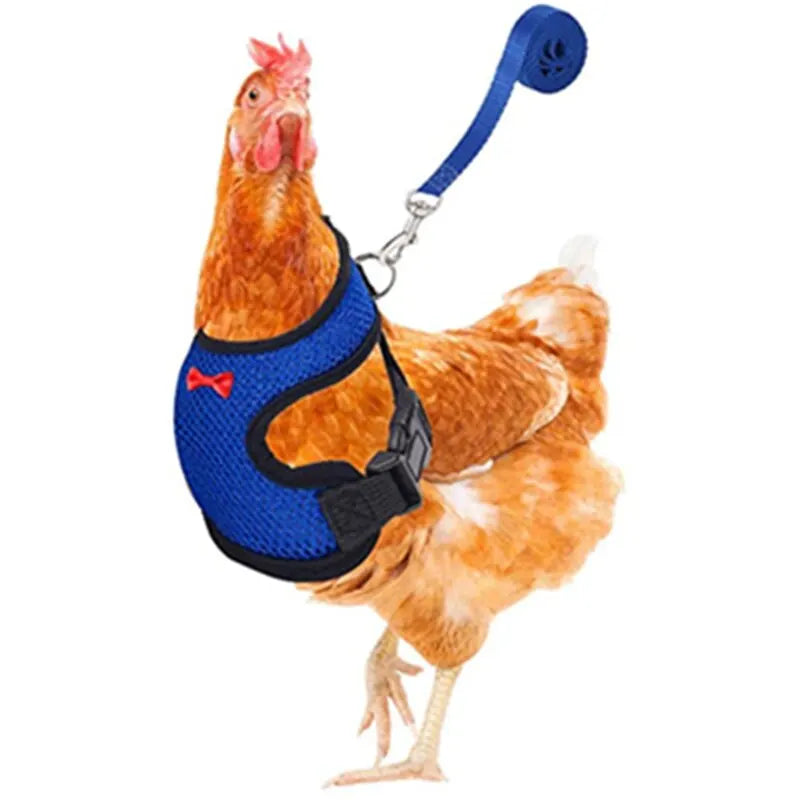 Pet Chicken Duck Goose Adjustable Harness Leash