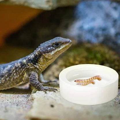 Reptile Food Ceramic Bowl Anti-Escape Feeder Dish