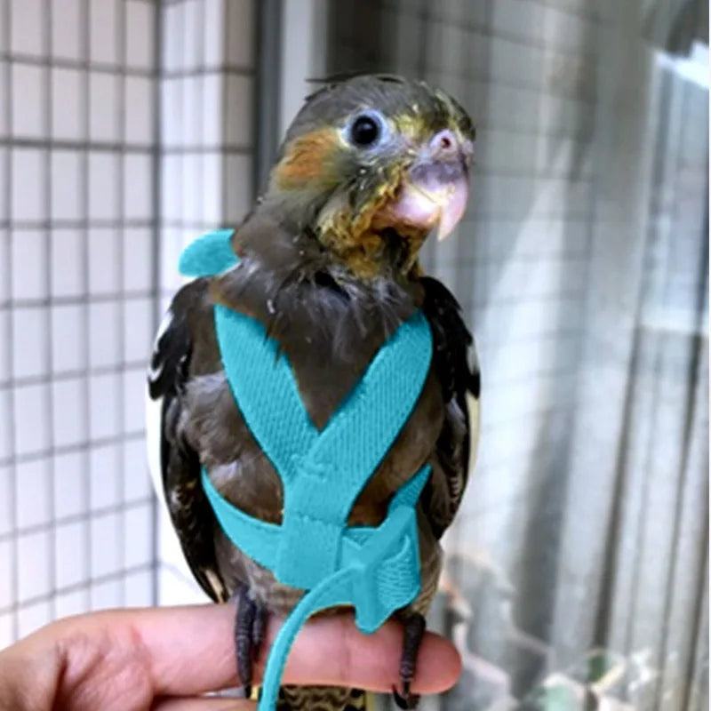 Pet Bird Adjustable Training Flying Rope Harness