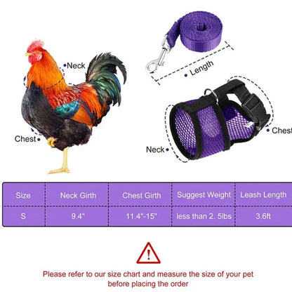 Pet Chicken Duck Goose Adjustable Harness Leash