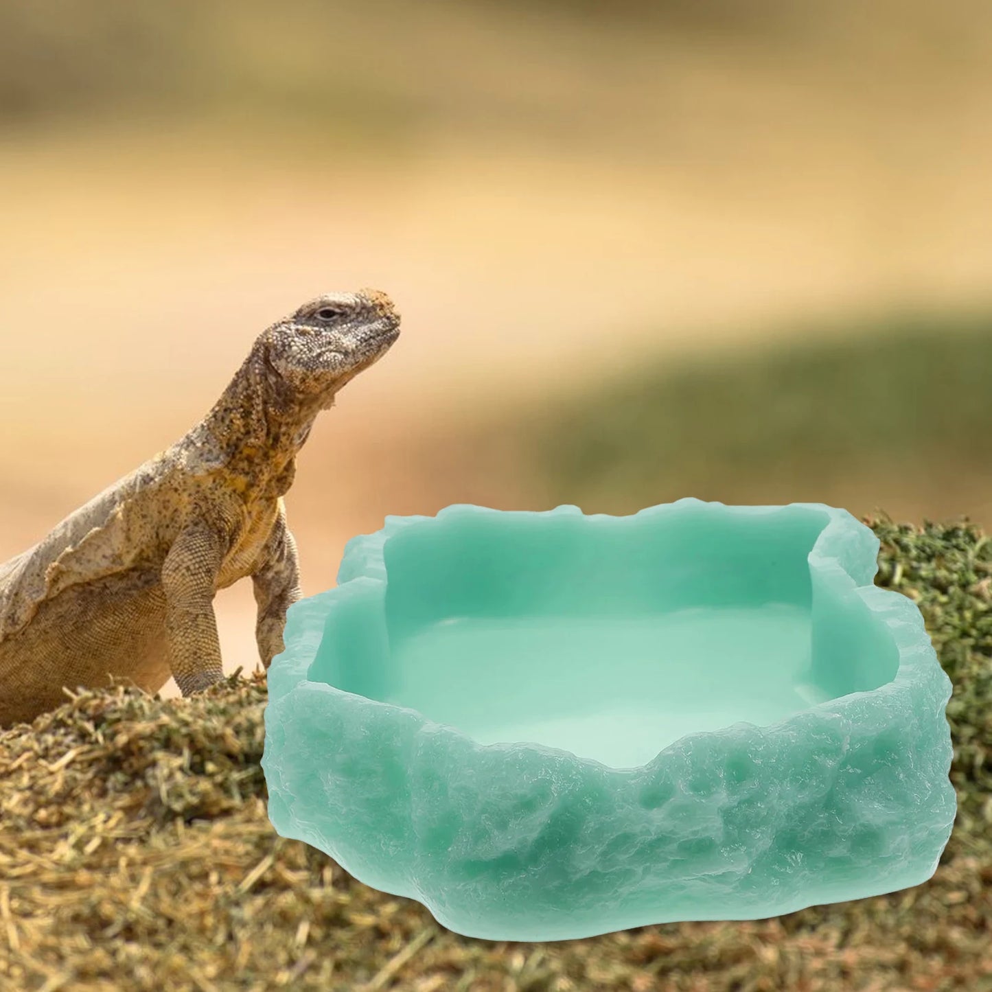 Reptile Amphibian Terrarium Water Feeder Bowls Plate