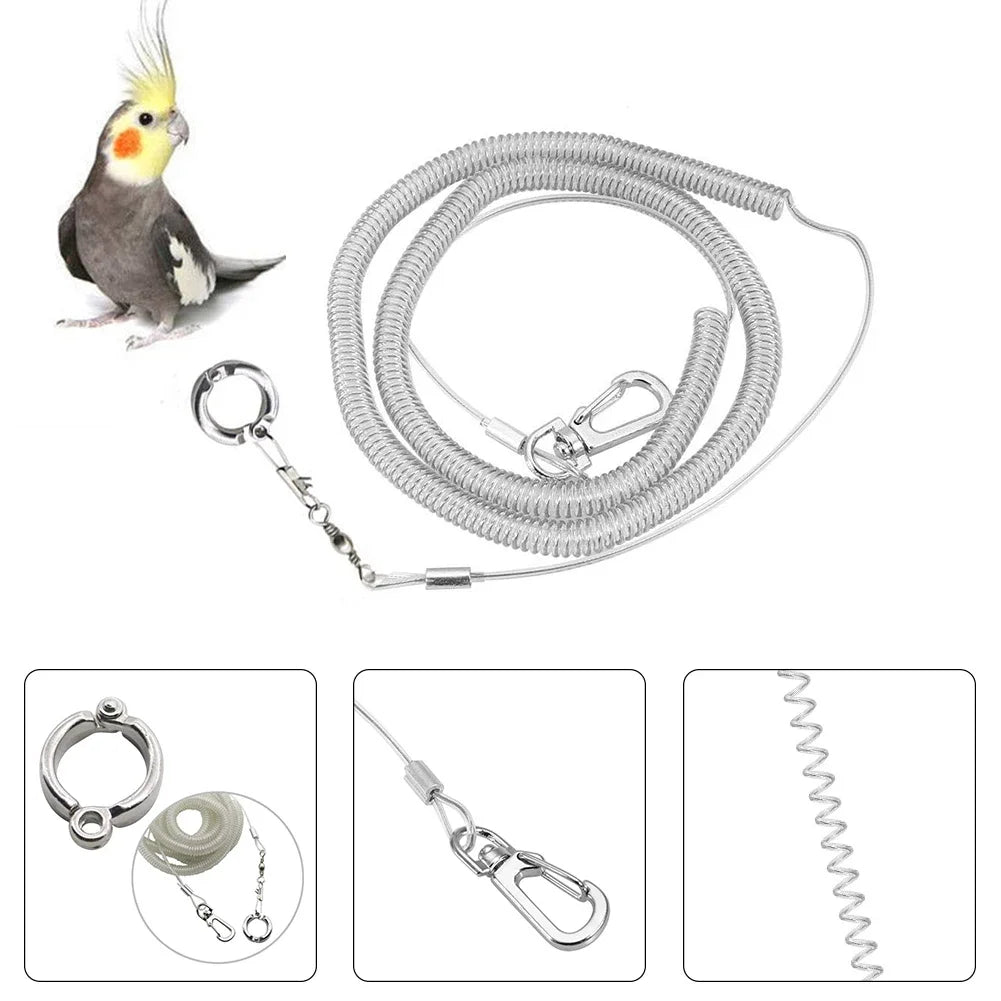 3M/5M Ultra-light Flexible Parrot Bird Flying Training Leash Rope with Leg Ring Harness