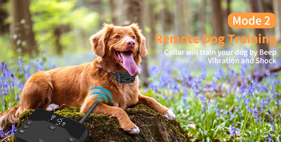 800ft Pet Dog Wireless Electric Fence & Training Collar